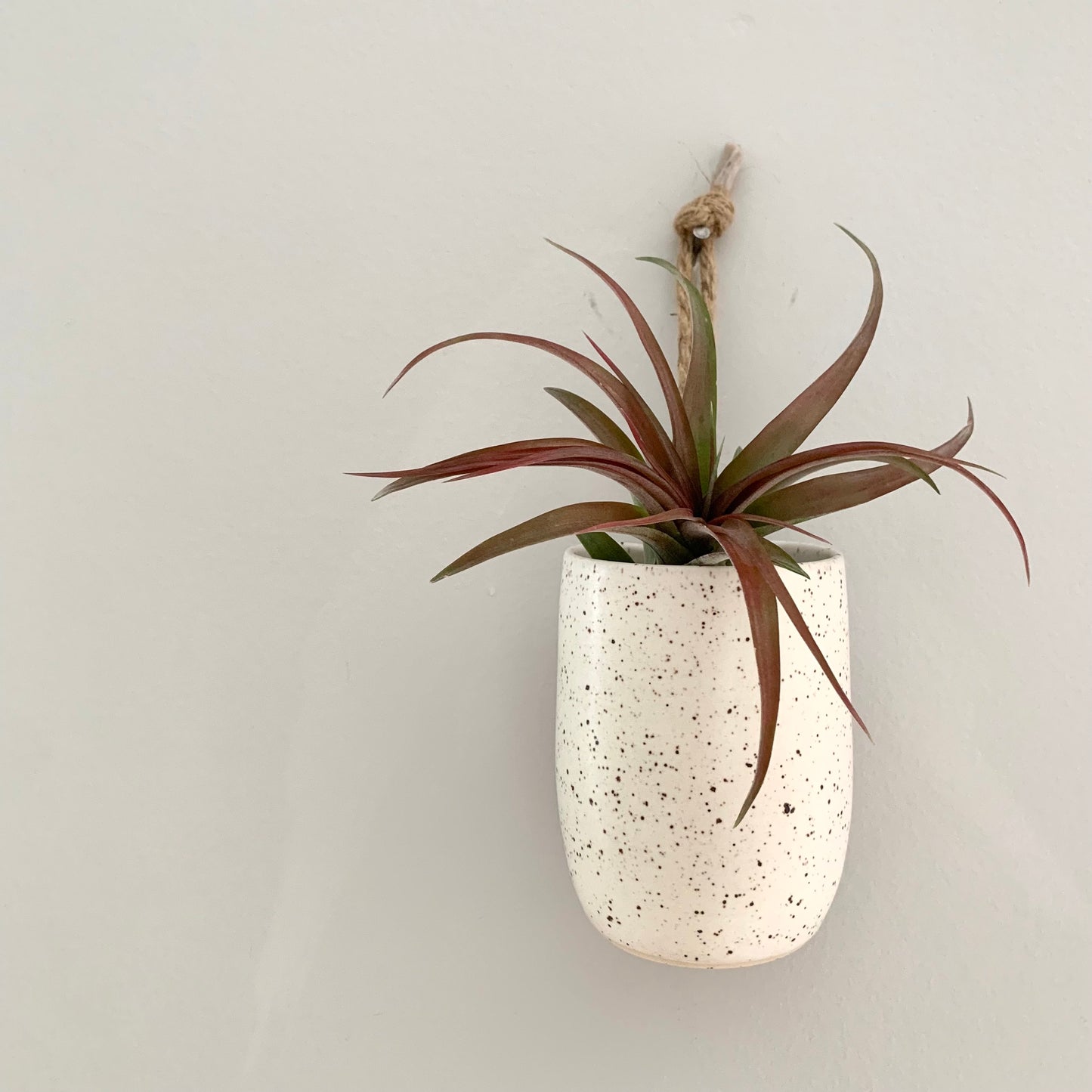 White speckle ceramic hanging planter with jute rope hanger. Perfect for displaying succulents, air plants or a small dried flower bouquet